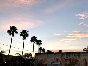 Low angle view of silhouette palm trees against sky