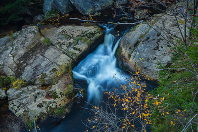 View of waterfall in forest
