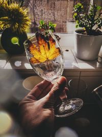 Cropped hand of person holding maple leaf in glass at home during autumn