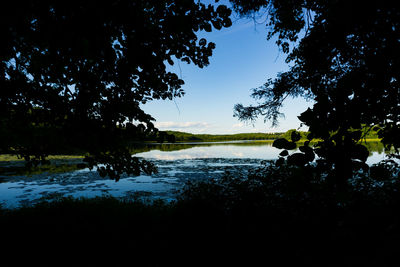 Silhouette trees by lake against sky