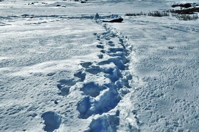 High angle view of sea shore during winter