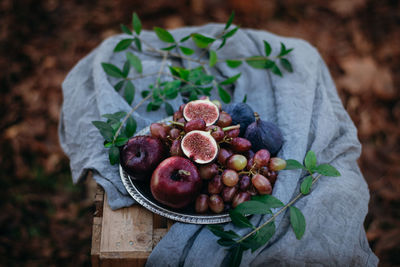 Close-up of fruits growing on table