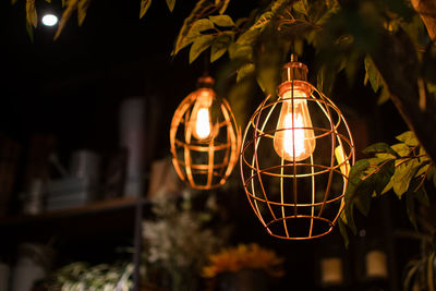 Close-up of illuminated pendant light hanging on plants