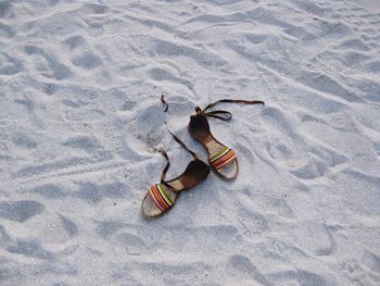 High angle view of footwear on sand at beach