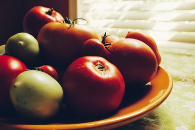 Close-up of tomatoes