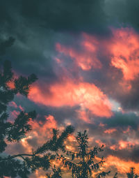 Low angle view of silhouette trees against sky at sunset