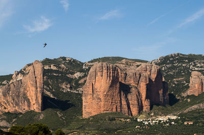 Birds on rock formation against sky