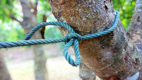 Close-up of rope tied on wooden post