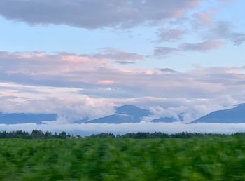 Scenic view of landscape against sky