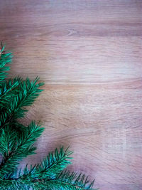 High angle view of christmas tree