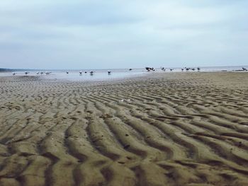 Scenic view of beach against sky