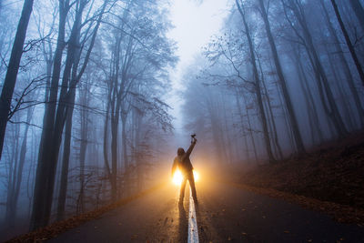 Rear view of person standing on road amidst trees in forest