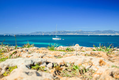 Scenic view of sea against clear blue sky