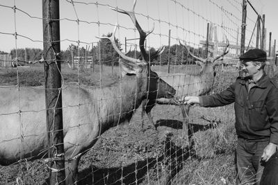 Panoramic shot of person standing by fence