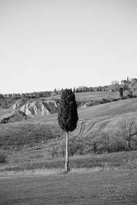 Scenic view of field against clear sky