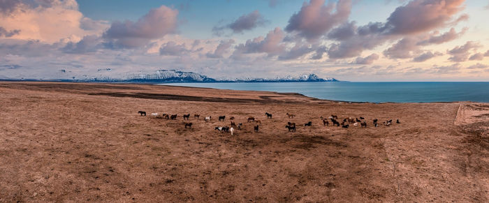 Scenic view of beach against sky during sunset