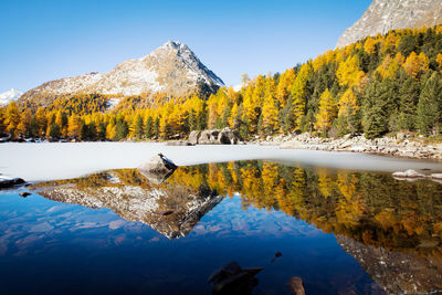 Scenic view of lake by trees against sky