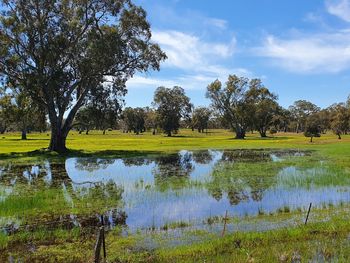 Scenic view of lake against sky