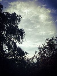 Low angle view of trees against cloudy sky