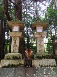 Portrait of man against tree trunk