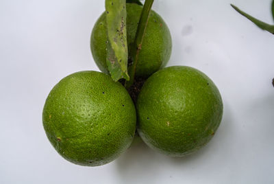 High angle view of fresh green fruit against white background