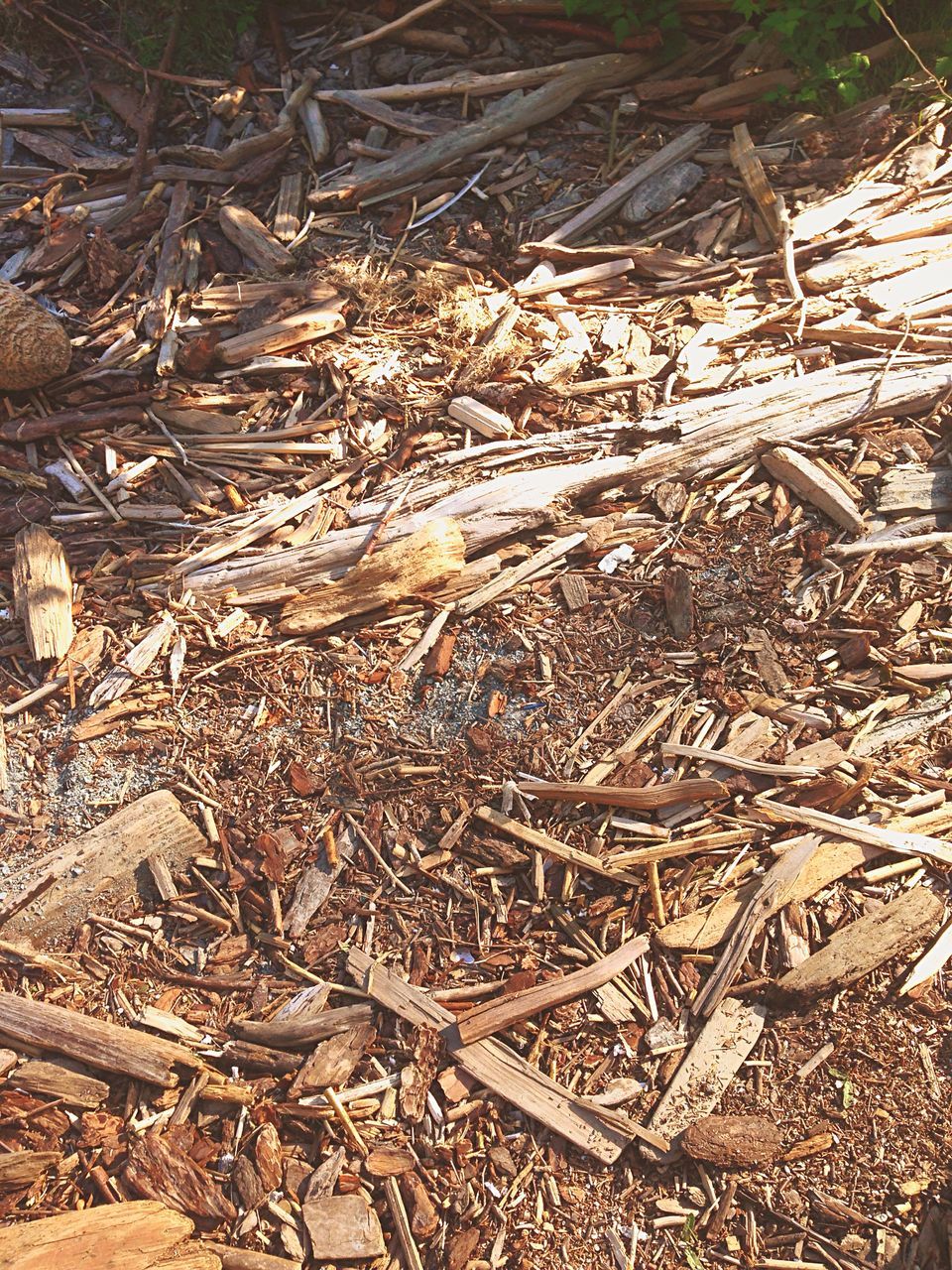 abundance, landscape, field, dry, high angle view, nature, tranquility, dirt, day, outdoors, tree, large group of objects, no people, sunlight, sand, pattern, agriculture, heap, rural scene, backgrounds