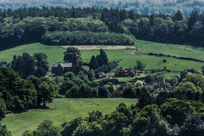 High angle view of trees on field