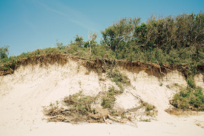 Dunes demolished by storm surge