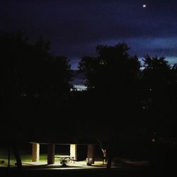 View of illuminated trees at night