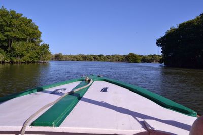 Scenic view of river by trees against sky