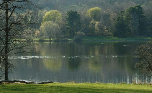 Scenic view of lake by trees against sky