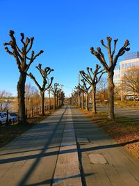 Empty road along bare trees against blue sky