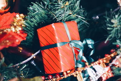 Close-up of christmas tree at night