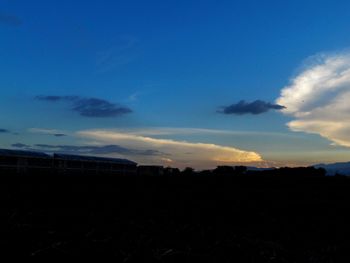 Silhouette trees on field against sky at sunset