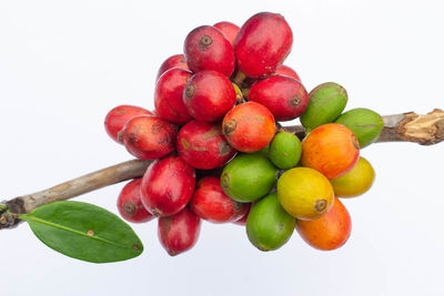 Close-up of cherries against white background