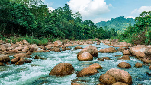 Scenic view of river flowing through rocks in forest against sky