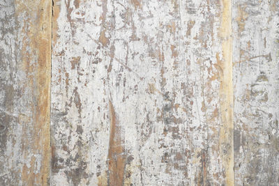 backgrounds