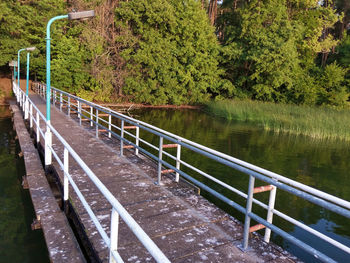 Bridge over river in forest