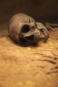 Close-up of object