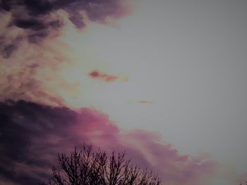 Low angle view of silhouette trees against sky