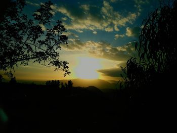 Silhouette trees on landscape against sky at sunset