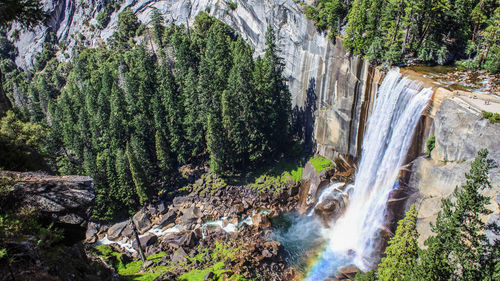 Scenic view of waterfall in forest