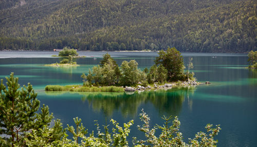 Insel auf dem eibsee