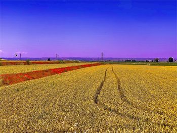 Scenic view of field against clear blue sky