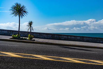 Asphalt climb with palm trees over coastal city