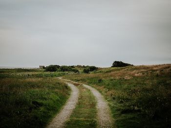 Scenic view of grassy field against clear sky