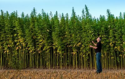 Side view of man standing by plants