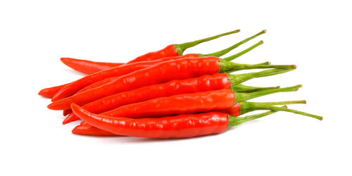 Close-up of red chili pepper against white background