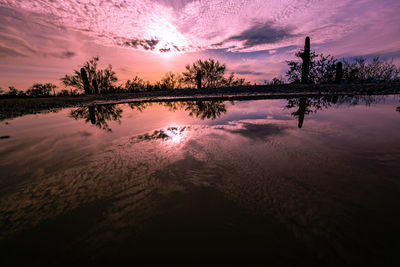 Silhouette trees by lake against sky during sunset