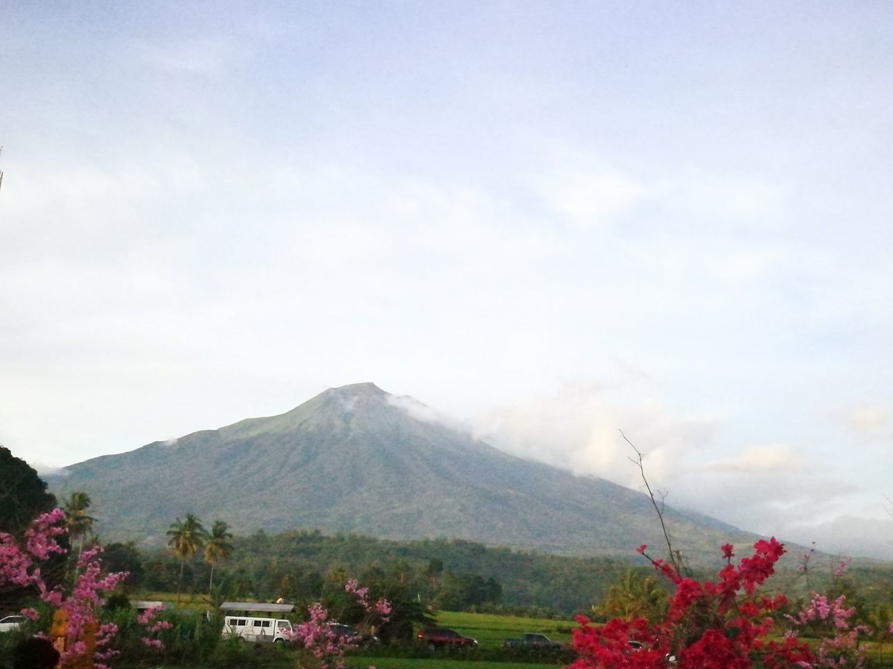 mountain, beauty in nature, nature, growth, tree, outdoors, no people, scenics, flower, tranquility, sky, tranquil scene, landscape, plant, day, fragility, freshness